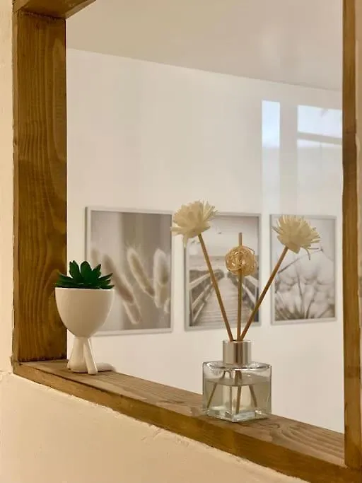 Appartement Neuf Avignon France
